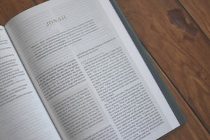 The One Story Bible: Tracing the Thread of Redemption Through God's Word (Hardcover)