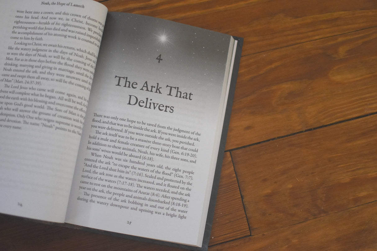 There Shone a Holy Light: Beholding Christ and Christmas in the Old Testament: Twenty-Five Readings for Advent