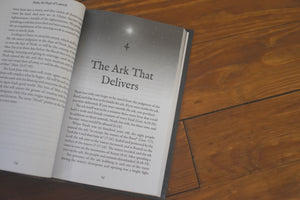 There Shone a Holy Light: Beholding Christ and Christmas in the Old Testament: Twenty-Five Readings for Advent