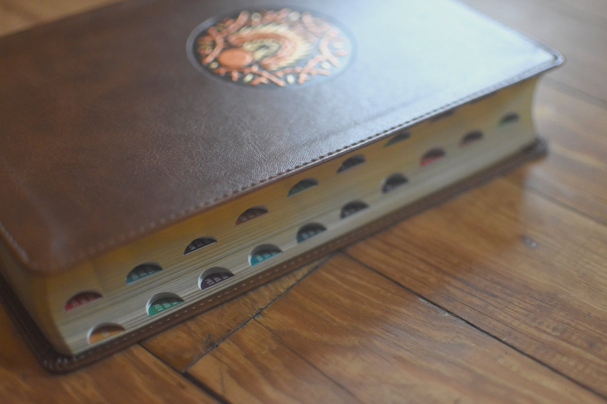 ESV the Biggest Story Holy Bible for Kids (Trutone, Brown, Living Hope Design, Thumb Indexed)