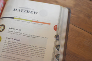 ESV the Biggest Story Holy Bible for Kids (Trutone, Brown, Living Hope Design, Thumb Indexed)