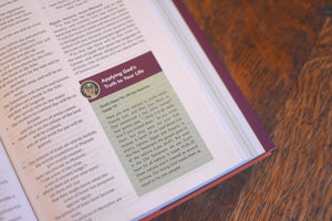 ESV the Biggest Story Holy Bible for Kids (Hardcover)