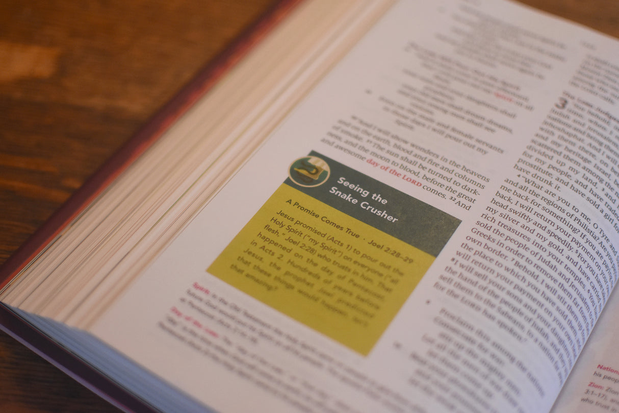 ESV the Biggest Story Holy Bible for Kids (Hardcover)