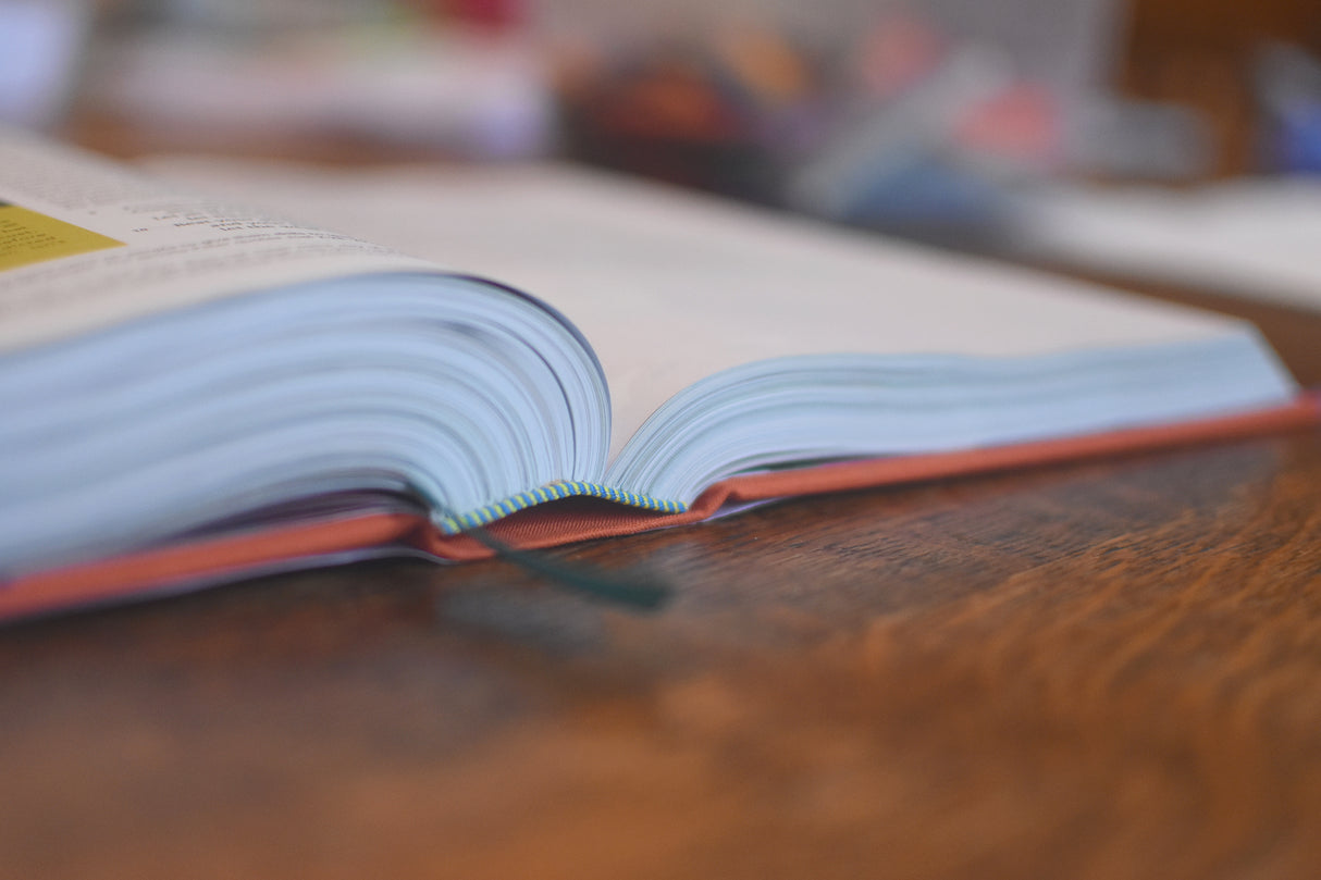 ESV the Biggest Story Holy Bible for Kids (Hardcover)