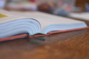 ESV the Biggest Story Holy Bible for Kids (Hardcover)