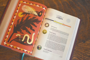 ESV the Biggest Story Holy Bible for Kids (Hardcover)