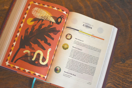 ESV the Biggest Story Holy Bible for Kids (Hardcover)