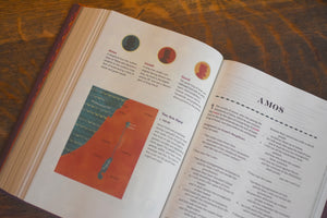 ESV the Biggest Story Holy Bible for Kids (Hardcover)