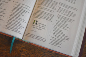 ESV the Biggest Story Holy Bible for Kids (Hardcover)