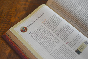 ESV the Biggest Story Holy Bible for Kids (Hardcover)