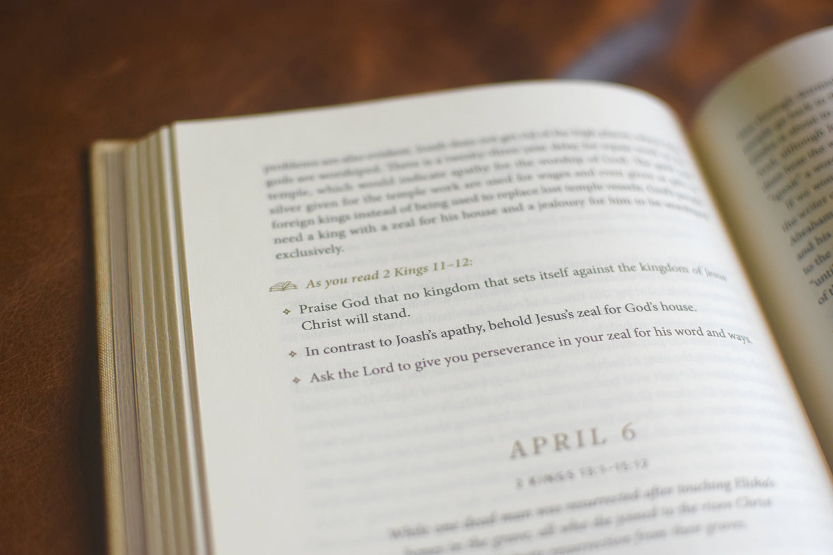 Beholding Christ: A Daily Guide to Seeing Jesus in All of Scripture
