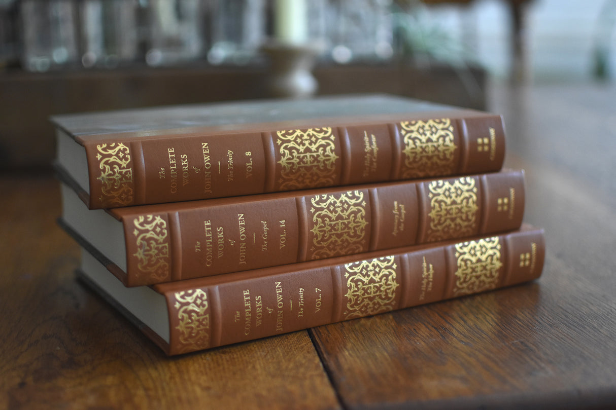 The Holy Spirit--The Comforter (Volume 8) (Complete Works of John Owen)