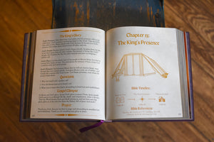 The Kingdom of God Bible Storybook (OT & NT Set)