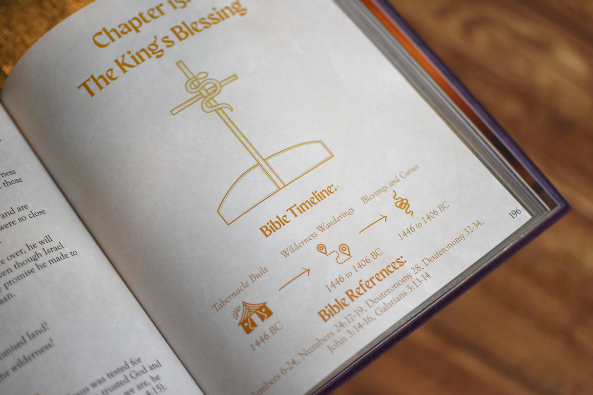 The Kingdom of God Bible Storybook (OT & NT Set)