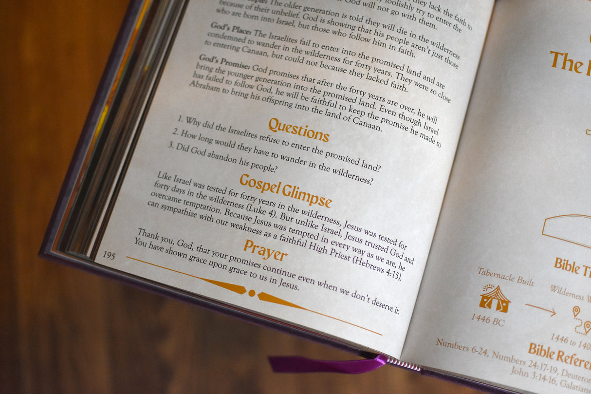 The Kingdom of God Bible Storybook (OT & NT Set)