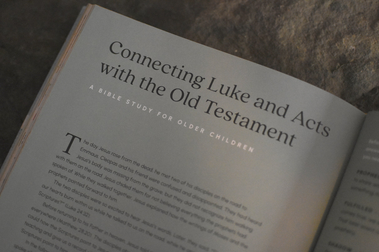 The Treasure: Ancient Story Ever New of Jesus and His Church