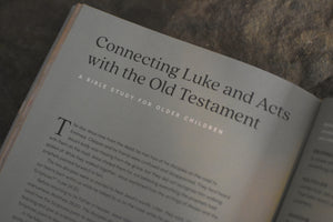 The Treasure: Ancient Story Ever New of Jesus and His Church