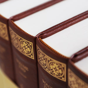 Reformed Dogmatics, 4-Volume Set (Deluxe Edition)