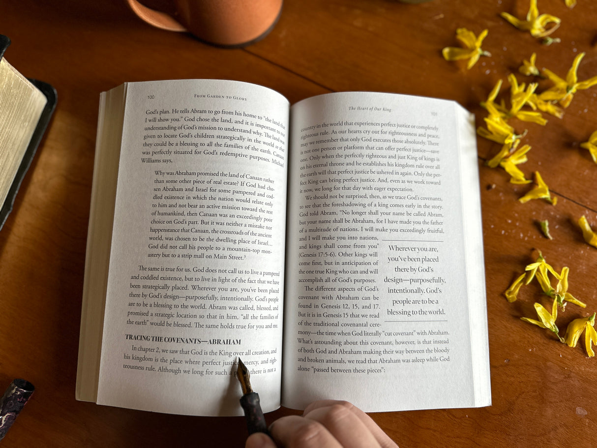 From Garden to Glory: How Understanding God's Story Changes Yours
