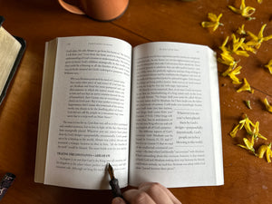 From Garden to Glory: How Understanding God's Story Changes Yours