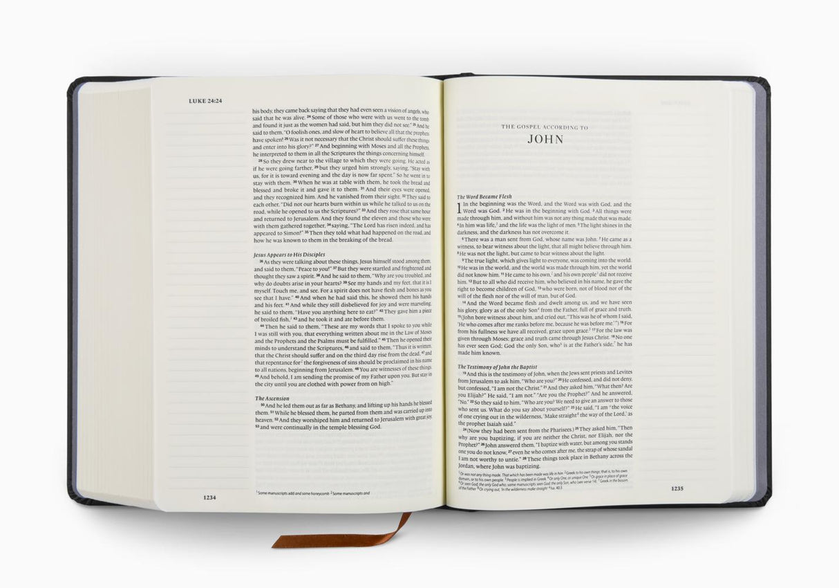 ESV Single Column Journaling Bible, Artist Series (Hardcover, Joshua Noom, the Lion and the Lamb)