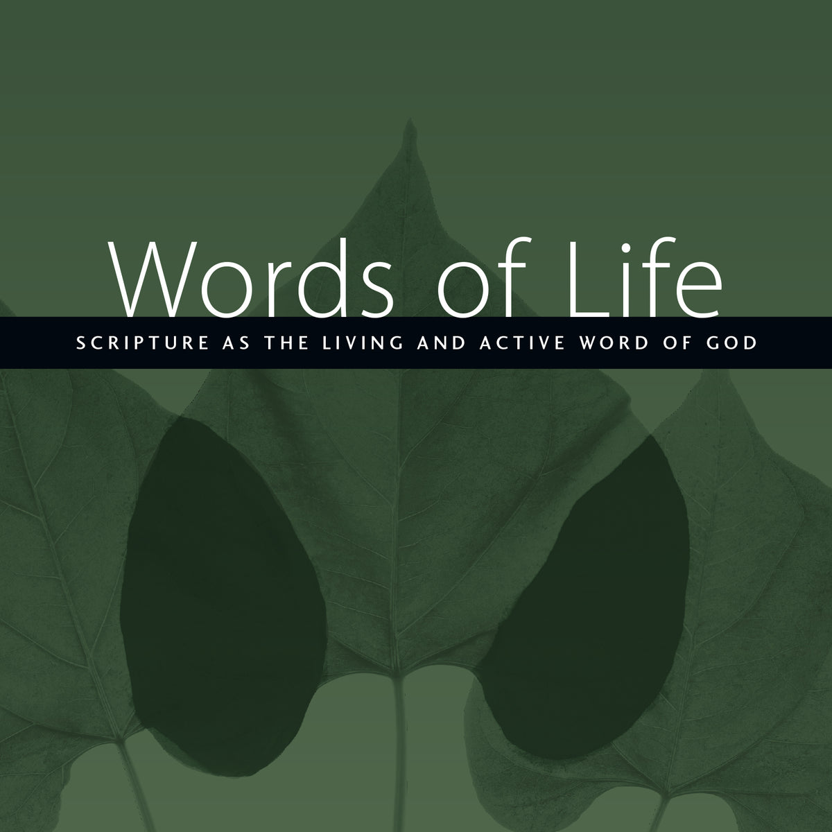 Words of Life: Scripture As the Living and Active Word of God; Ward ...