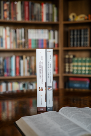 How to Understand and Apply the Old & New Testament Set