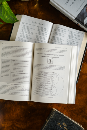 How to Understand and Apply the Old & New Testament Set