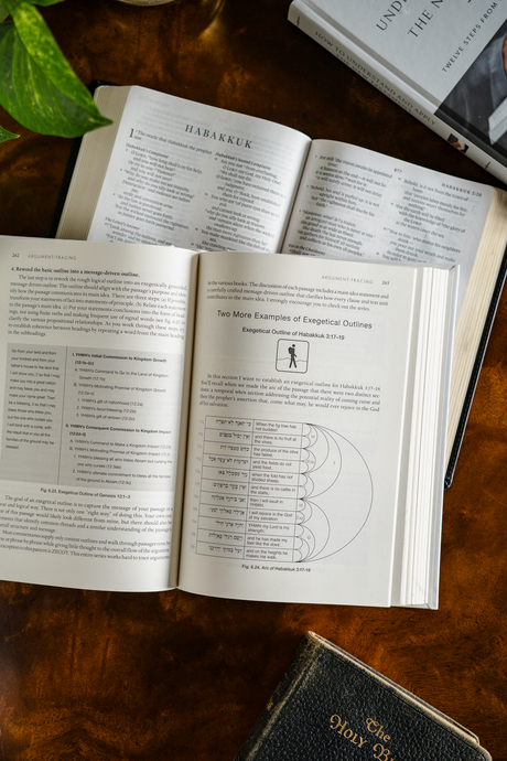 How to Understand and Apply the Old & New Testament Set