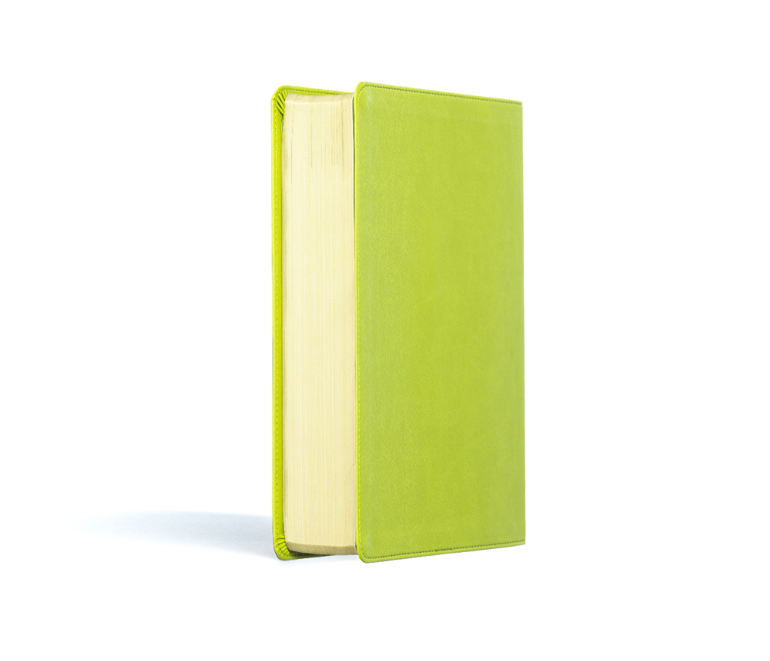 CSB Life Counsel Bible, Apple Green Leathertouch: Practical Wisdom for All of Life