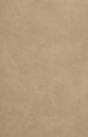 ESV Beholding Christ Bible: Seeing Jesus in All of Scripture with Nancy Guthrie (Trutone, Soft Umber) -  () - 9798874911423