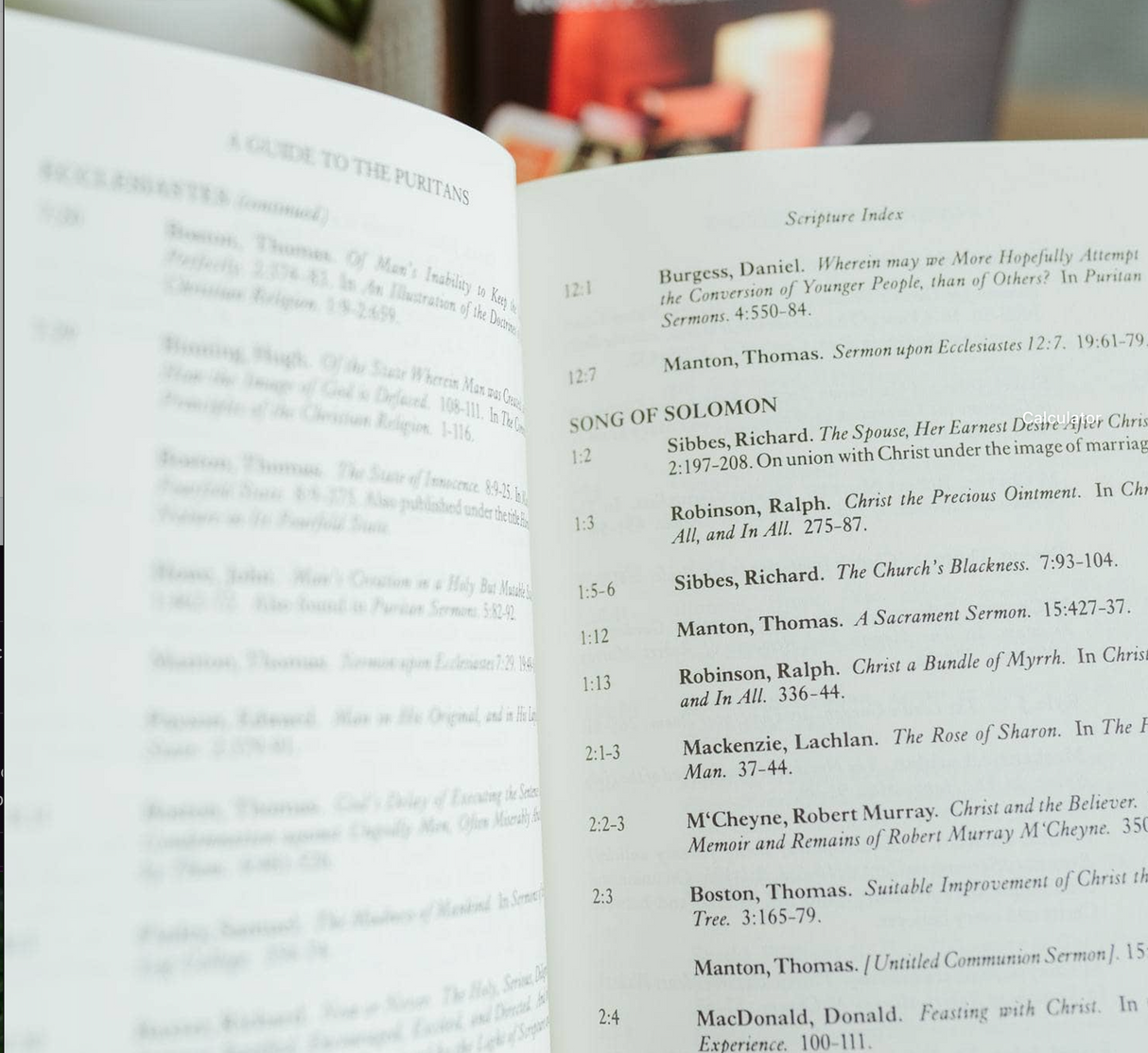 A Guide to the Puritans