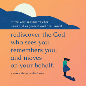 You Are Not Forgotten: Discovering the God Who Sees the Overlooked and Disregarded - Hoover, Christine - 9781087788456