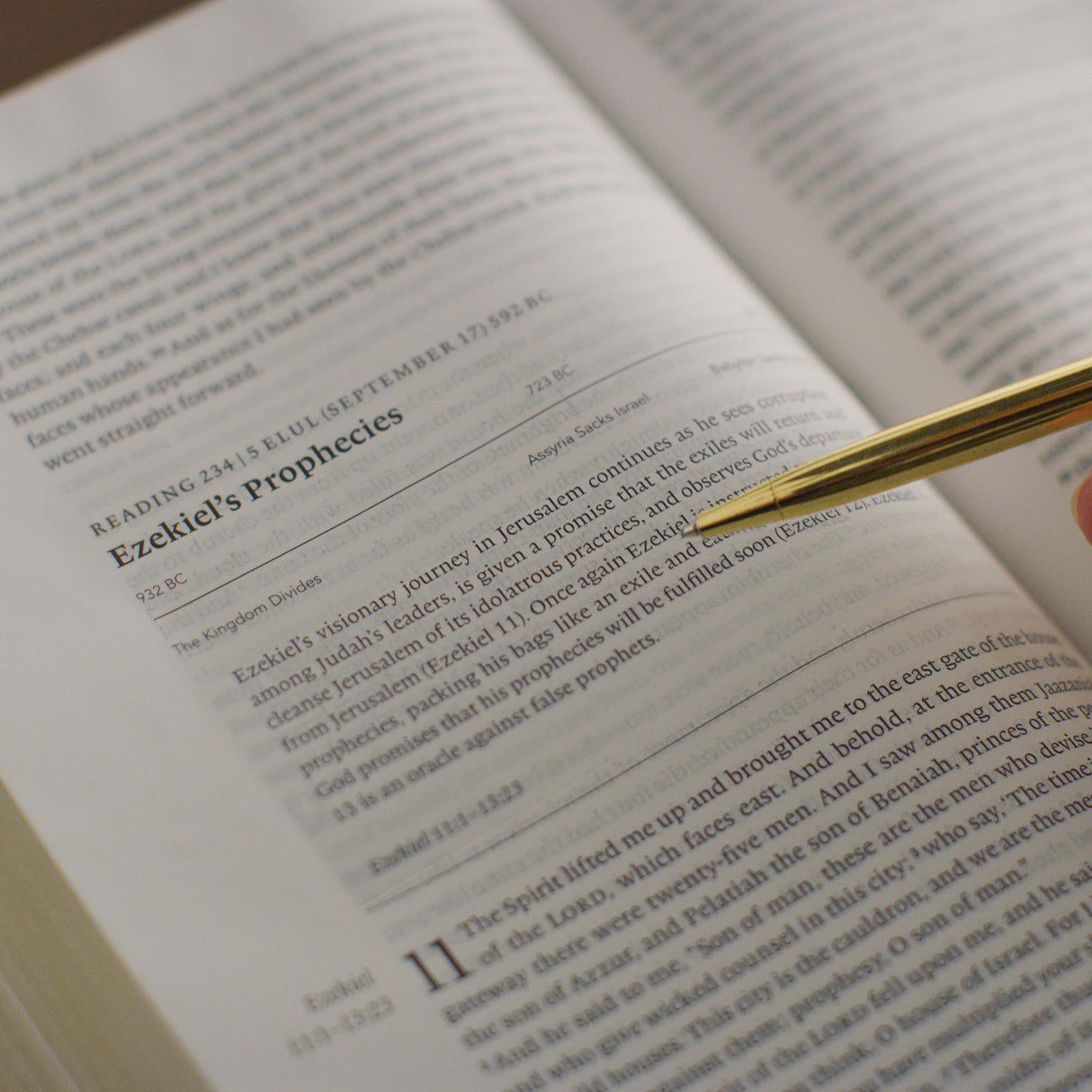 ESV Chronological Bible (Trutone, Brown)