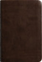 ESV Value Compact Bible (Trutone, Brown) - ESV - 9798874902780