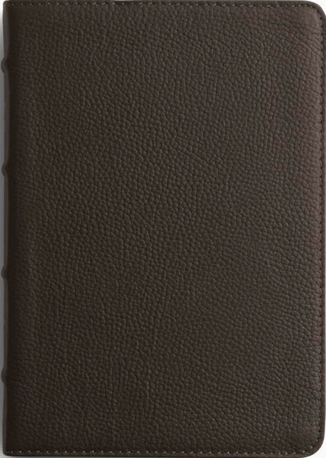 ESV Large Print Compact Bible, Red Letter (Buffalo Leather, Deep Brown) - ESV - 9798874902926