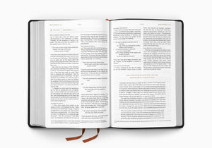 ESV Everyday Gospel Bible: Connecting Scripture to All of Life (Genuine Leather, Black)