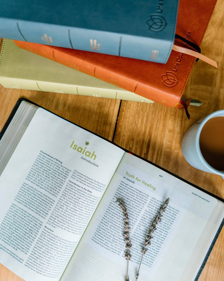 CSB Life Counsel Bible, Burnt Sienna Leathertouch: Practical Wisdom for All of Life lying open on a table with other Bibles