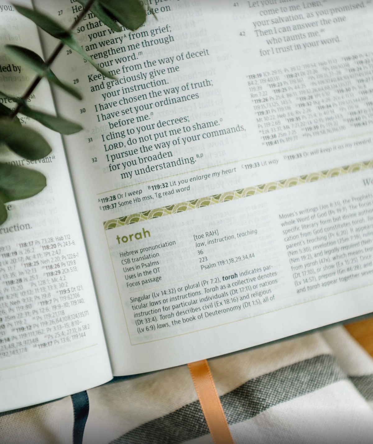 CSB Life Counsel Bible, Slate Blue Leathertouch: Practical Wisdom for All of Life lying open to an interior page
