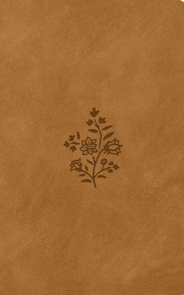 ESV Premium Gift Bible (Trutone, Nubuck Caramel, Wildflower Design) - English Standard - 9781433593116