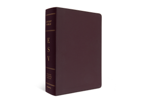 ESV Study Bible, Large Print (Burgundy)