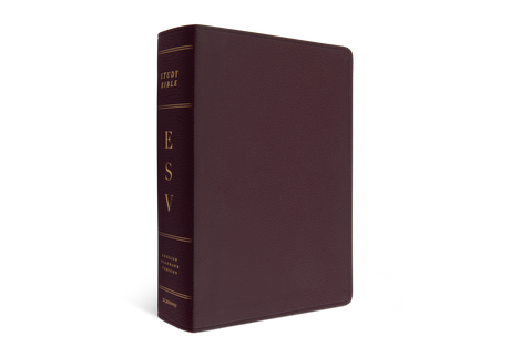 ESV Study Bible, Large Print (Burgundy)