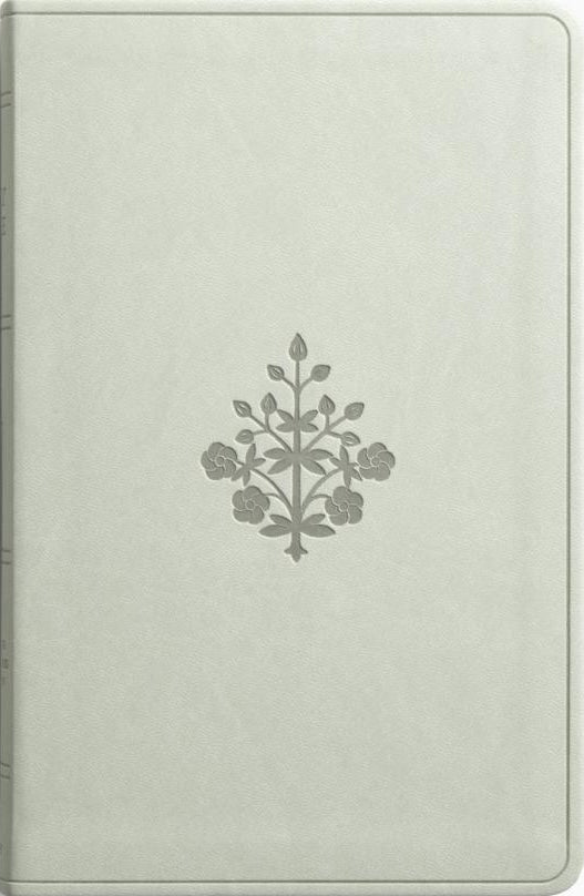 ESV Large Print Value Thinline Bible (Trutone, River Stone, Branch Design) - ESV - 9781433591938