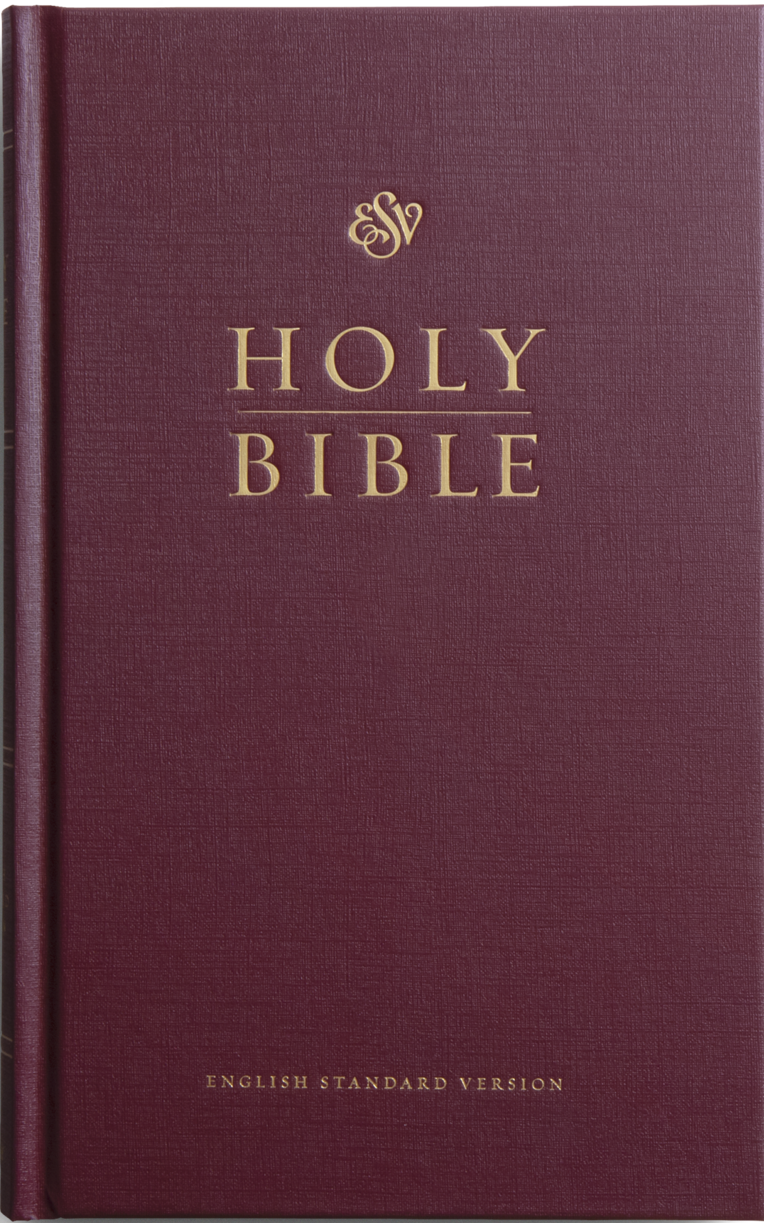 ESV Church Bible (Hardcover, Burgundy)