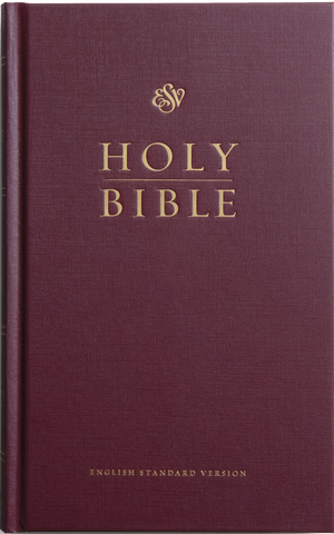 ESV Church Bible (Hardcover, Burgundy)