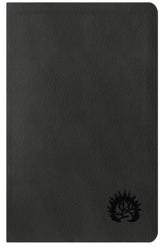 ESV Reformation Study Bible, Condensed Edition - Charcoal, Leather-Like - Sproul, R C (Editor) - 9781642892796