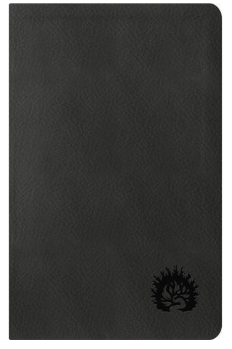 ESV Reformation Study Bible, Condensed Edition - Charcoal, Leather-Like - Sproul, R C (Editor) - 9781642892796