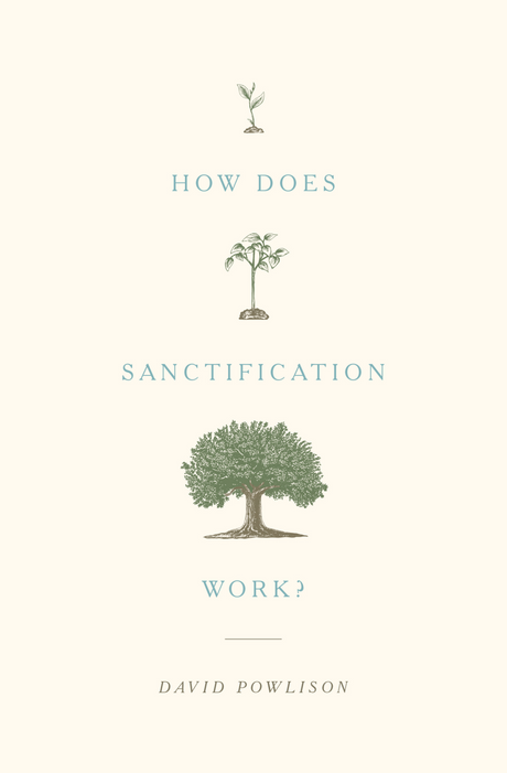 How Does Sanctification Work? by David Powlison book cover