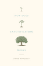 How Does Sanctification Work? by David Powlison book cover