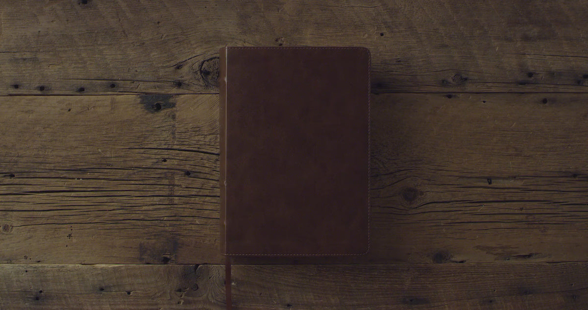ESV Applying the Gospel Study Bible for Men (Trutone, Brown)